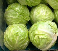 Cabbage Danish Ballhead 10 Lb Heads 175 Seeds  - £6.29 GBP