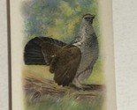 Arm &amp; Hammer Blue Grouse Victorian Trade Card VTC 5 - £3.15 GBP