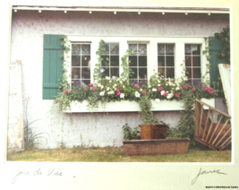 Art Photo &quot;Joie de Vie&quot; Window with Flowers by Paul C James Matted 5 x 7 inches - £19.32 GBP