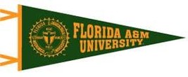 Florida A&amp;M University Wool Felt Pennant - $18.99