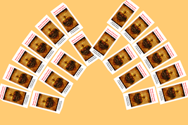 20Pack Large Print Surrender Novena to the Will of God Trifold Holy Card Free Sh - $50.38 CAD