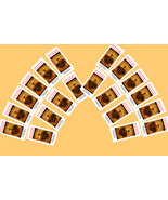 20Pack Large Print Surrender Novena to the Will of God Trifold Holy Card... - $659.47 MXN