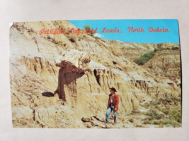 Vintage Postcard - Ingman&#39;s Petrified Forest  North Dakota - Dexter Press - £11.79 GBP
