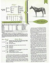 1896 - BEN BRUSH - Kentucky Derby Pedigree, Career Highlights &amp; Race Chart - £15.79 GBP