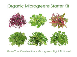 Gourmet Microgreen Seed Collection 5 Nutrient Packed Varieties Organic Microgree - £18.38 GBP