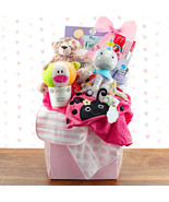 Congratulations: Baby Girl Gift Basket - $272.96 CAD