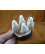 (TNE-PEN-118-c) little Penguin FAMILY bird TAGUA NUT figurine penguins H... - $61.70