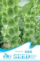 10 S 200 Seeds Green Shell Flower Annual Palnts Cut Flowers Molucella Laevis Gar - $18.22