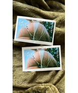 Milk Sticker - €4,86 EUR