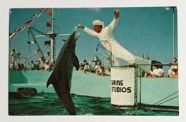 Hand Feeding Jumping Porpoises Sailor Marineland Florida FL UNP Postcard... - $4.99