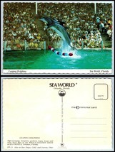 FLORIDA Postcard - Orlando, Sea World, Leaping Dolphins CS - £2.32 GBP