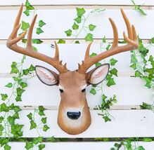 12 Point Buck Trophy Taxidermy Wall Decor Deer Head W/ Antlers Sculpture... - $84.99