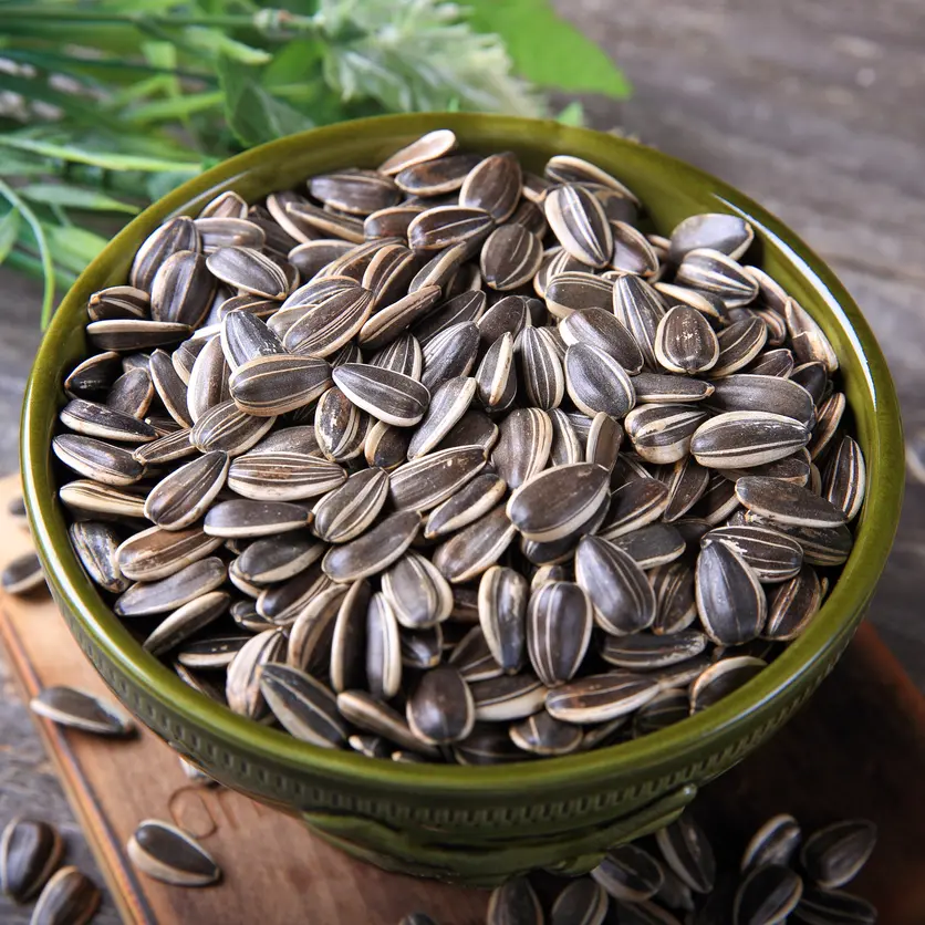 Sunflower Seeds, 500 Grams /// FAST SHIPPING  - $61.74 CAD