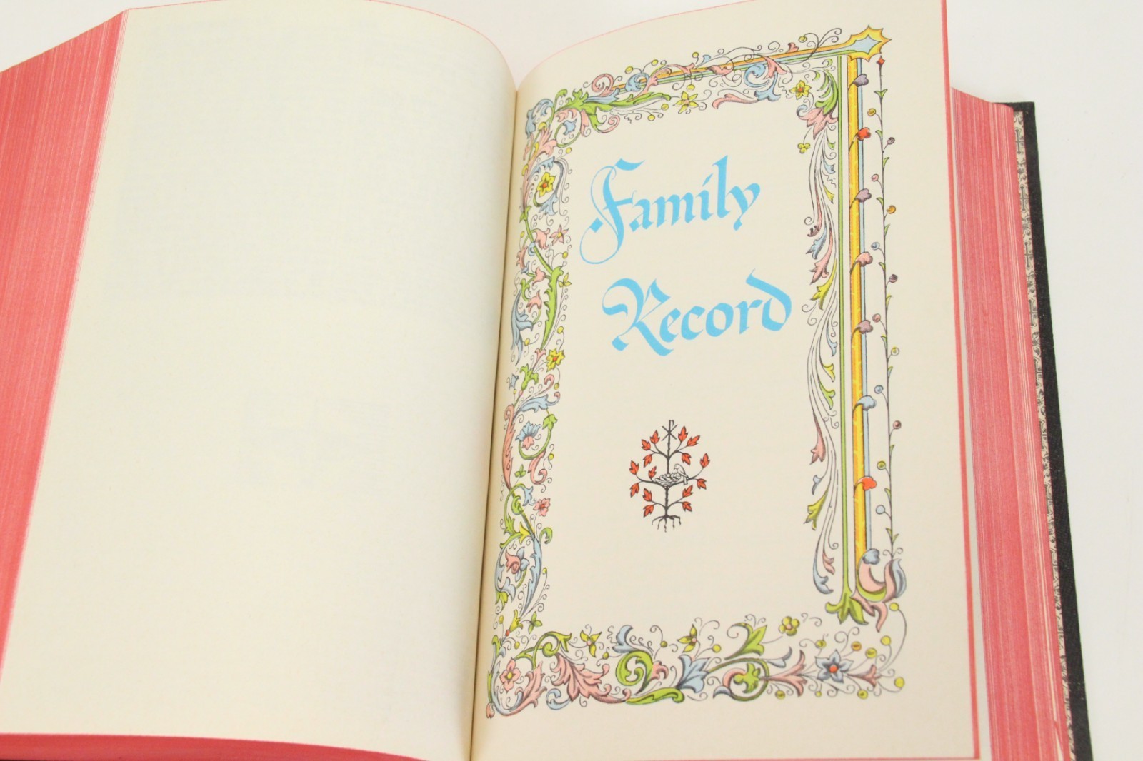 Holy Bible New Catholic Edition 1957 Confraternity Douay Version Large Type Item image 15