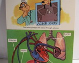 1978 Walt Disney&#39;s Fun &amp; Facts Flashcard #DFF4-4: The Heart Pump - $2.00