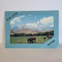 Vintage Postcard Mount Whitney California Scenic Mountain Range Horses - $4.94