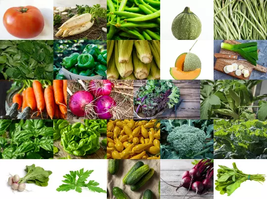 Ultimate Survival Seed Vault 12,400+ Non-GMO Heirloom Seeds - 24 Varieties - $39.98