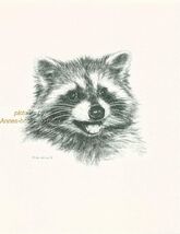 #132 RACCOON portrait wild life art print  * Pen &amp; ink drawing * Jan Jel... - $12.38