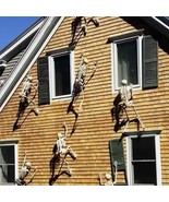 Skeleton Posable Full Life Size Halloween Party House Hunted Prop Decor ... - €22,10 EUR