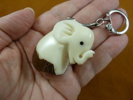 (TNE-ELE-716c) lucky white baby PACHYDERM TAGUA NUT Figurine KEYCHAIN key - $22.99