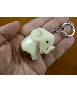 (TNE-ELE-716c) lucky white baby PACHYDERM TAGUA NUT Figurine KEYCHAIN key - $422.44 MXN