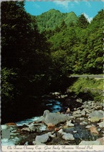 Along US 441 Skyway/Little Pigeon River Great Smoky Mtns Ntl Park Postcard PC396 - £3.97 GBP
