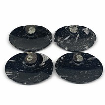 702g, 4pcs, 4.7&quot;x3.8&quot; Small Black Fossils Ammonite Orthoceras Bowl Oval Ring,B88 - £48.11 GBP