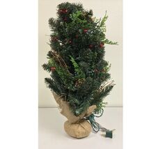Pre-lit 2 Foot Artificial Mixed Pine and Cedar Christmas Tree with Berri... - $39.58
