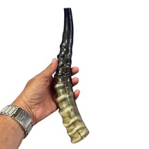 Blesbok Yemenite Shofar - Genuine Antelope Horn - Around 12&quot; long - Trumpet - $719.48 MXN
