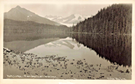 ALASKA AK~MENDENHALL GLACIER-LAKE AUK~1940s REAL PHOTO POSTCARD - £4.67 GBP
