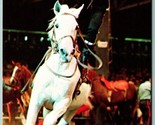 Cossacks on Horseback Ringling Bros Circus UNP Chrome Postcard J8 - $9.85