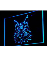 Maine Coon Cat Kitty Illuminated Led Neon Sign Home Decor, Lights Décor ... - £20.77 GBP+