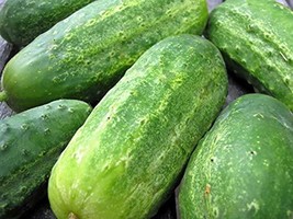 Cucumber, Boston Pickling Cucumber Seeds, Heirloom, 50 Seeds, Great for Pickling - £4.78 GBP