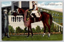 Horse Racing Gallahadion Winner of 1940 Kentucky Derby Postcard D25 - £5.48 GBP