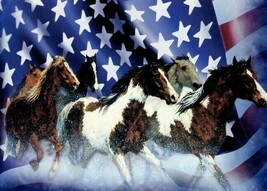 Patriotic Unity Cards - Thundering Horses - Tree Free Greeting Card - 90074 - $25.61 MXN