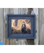 The Post &amp; Beam Worn Navy 3.5&quot;--(All Sizes) -The Loft Signature Handcraf... - $449.68 MXN