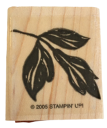 Stampin Up Rubber Stamp Flower Leaves Plant Leaf Nature Outdoors Card Ma... - £2.39 GBP