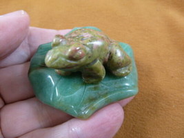 (Y-FRO-LP-713) Green orange FROG frogs LILY PAD stone gemstone CARVING f... - $17.53