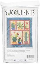 Rachel's Of Greenfield Succulents Wall Quilt Kit Pattern, None - $18.50