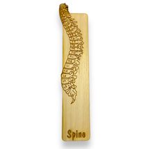 Bookmark - Spine Anatomy - Birch wood - £9.24 GBP