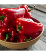 Heirloom Red Long Sharp Sweet Bell Pepper - 20 Seeds - $5.57