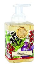 Michel Design Works Foaming Hand Soap, Currant, 17.8 Fluid Ounce - $41.99