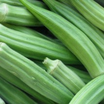 Fast Ship USA Seller 100 Okra Seeds Clemson Spineless - $18.42