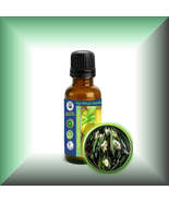 Eucalyptus (Eucalyptus Globulus) Essential Oil - $5.00+