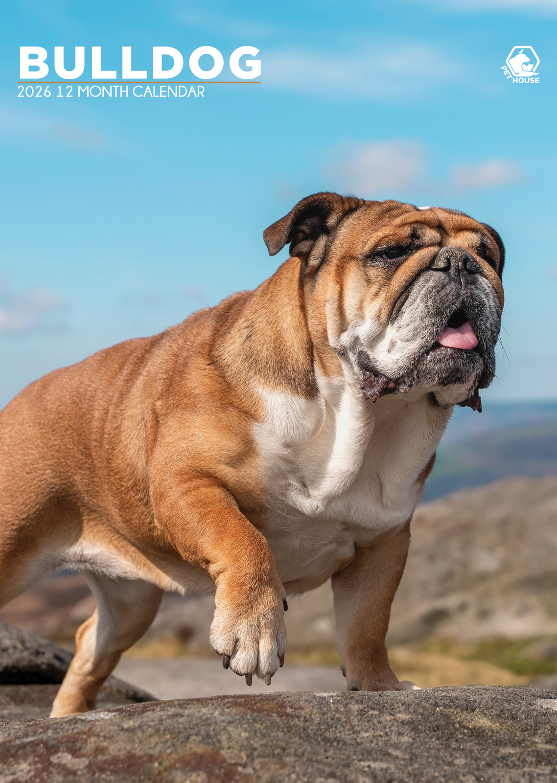Bulldog Calendar 2026 - $19.99