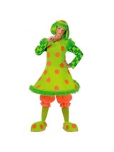 Silly Circus &quot;Lolli The Clown&quot; Adult Halloween Costume Women Standard One Size - £30.76 GBP