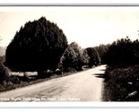 RPPC Myrtle Tree Oregon Coast Highway OR UNP Sawyer Photo Postcard W17 - £2.33 GBP