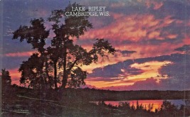 Cambridge Wisconsin~Lake RIPLEY~1956 Postcard From Willerup Park Bible Camp - £6.07 GBP