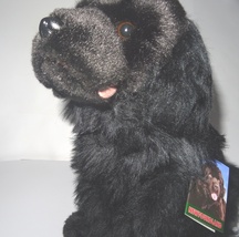 Newfoundland 12&quot; plushie gift wrapped, or not with or without engraved tag  - £31.45 GBP+