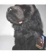 Newfoundland 12&quot; plushie gift wrapped, or not with or without engraved tag  - £31.50 GBP+